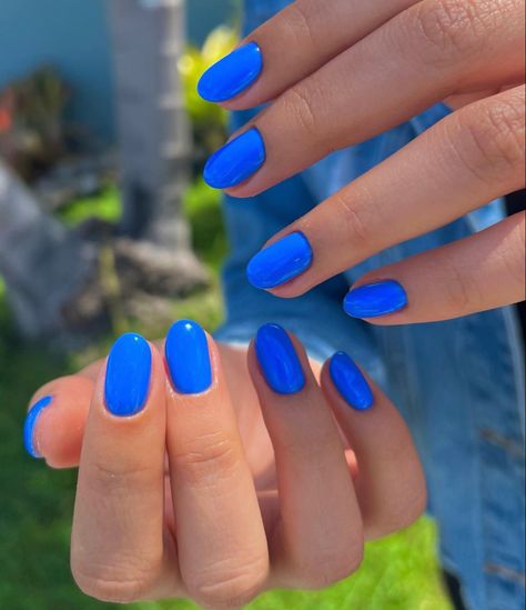 Spring Oval Nails 2024, Short Bright Blue Nails, Solid Nail Color Designs, Spring Nail Inspo Solid Color, Spring Nail Inspo 2024 Solid Color, April Nails Solid Color, Cute Sns Nail Ideas For Summer, Plain Beach Nails, Spring Nails 2024 Trends Solid Color