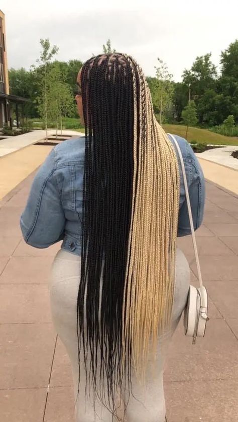 Black and Blonde Hair: 30 Ideas Every Woman Should Try Split Color Box Braids, Twisted Hair, African Hair Braiding Styles, Blonde Braids, Box Braids Hairstyles For Black Women, Braids Hairstyles Pictures, Box Braids Styling, Pretty Braided Hairstyles, Girls Hairstyles Braids