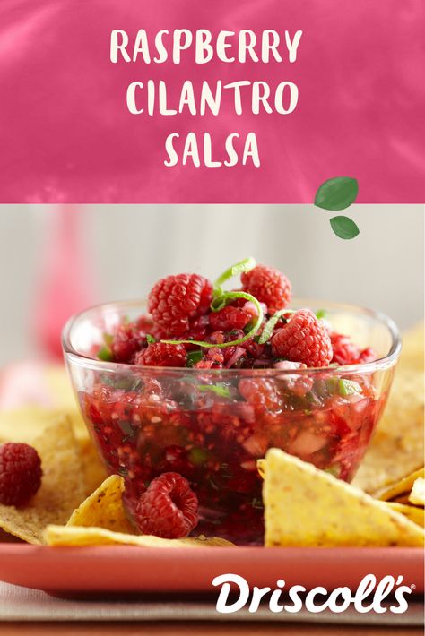 You'll love this five-star fruit salsa recipe! Tart raspberry flavor blended with traditional salsa ingredients makes a tasty and versatile salsa. Use as a dip for chips or as a colorful side for grilled chicken, pork or fish. Berry Appetizers, Raspberry Salsa Recipe, Cilantro Salsa Recipe, Pink Salsa, Raspberry Salsa, Dip For Chips, Tart Raspberry, Fruit Salsa Recipe, Cilantro Salsa