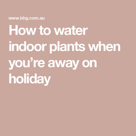 How to water indoor plants when you’re away on holiday Water Indoor Plants, Can Water, Water House, Water Me, On Holiday, Water Plants, Indoor Plants, At Home, Collage