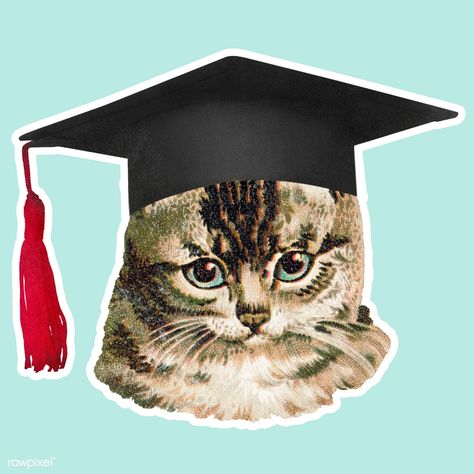 Cat in a graduation cap sticker illustration | premium image by rawpixel.com / Sarita Rungsakorn Graduation Icon, Cat Graduation, Sticker Transparent Png, Graduation Logo, Graduation Background, Photography Love Quotes, Animal Frame, Background Cat, Vintage Graduation