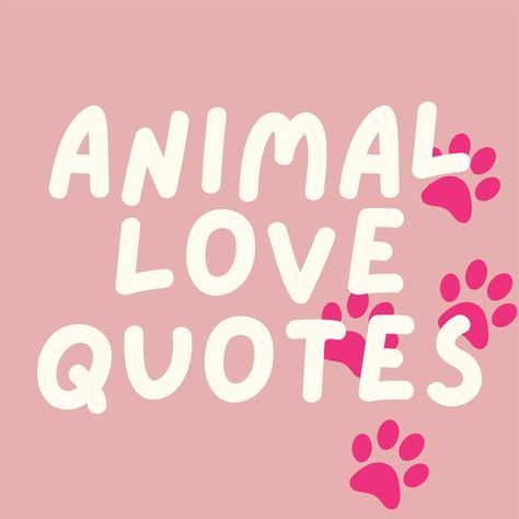 Whether you’re a lover of dogs or crazy about cats, these animal love quotes will make you smile about your four-legged friends. Pets Love Quotes, Quotes For Animal Lovers, I Love Animals Quote, Quote About Animals, Letter Board Quotes Dogs, Quotes About Pets Love, Choosing Between Two Things, Cute Pet Quotes, Loving Animals Quotes