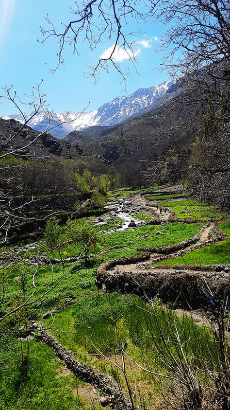 Lush green fields outside of Imlil, Morocco taken on a hike in Morocco in the High Atlas Mountains. #travel #morocco Morocco Nature, Atlas Mountains Morocco, Visit Morocco, Atlas Mountains, Morocco Travel, Beautiful Mountains, Wanderlust Travel, Best Hikes, Marrakech