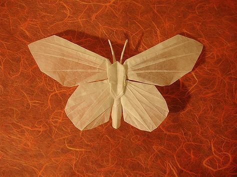 Jason Ku's Butterfly1 | I just had to try this one after see… | Flickr Origami Moth, Origami Insects, Origami Diagrams, Origami Artist, Origami Butterfly, Diy Butterfly, Origami Animals, Tracing Paper, Craft Lovers