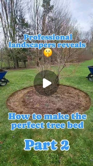 Erie Pennsylvania Landscape Company on Instagram: "Professional landscaper reveals how to make the perfect tree bed part two.

If you missed part one which details how to create the beds outline, you can find it pinned on our profile.

#gardencare #gardenbed #garden #landscaping #tree #treebed #howto #tutorial #mulching #mulch #gardenenthusiast" Front Tree Ideas, Tree Mulch Landscaping, Bottom Of Tree Landscape, Raised Bed Around Tree, How To Mulch Around Trees, How To Mulch Flower Beds, Mulching Around Trees, Around Tree Landscaping Ideas, Tree Flower Bed Ideas