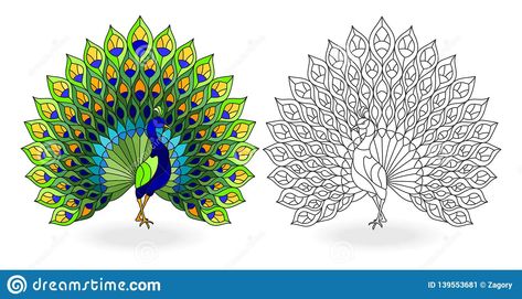 Illustration about Set of stained glass elements with peacock birds, contour and color images, isolated on white background. Illustration of mosaic, exotic, fauna - 139553681 Halftone Illustration, Window Illustration, Calla Lily Flowers, Stained Glass Pattern, Flower Icons, Peacock Bird, Heart Illustration, Color Images, Stained Glass Flowers