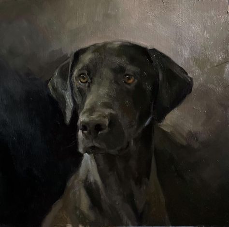 Artists Room, Jennifer Gennari, Pet Portraits Photography, Dog Anatomy, Portraits Photography, Animals Artwork, Black On Black, Black Labrador, Black Lab