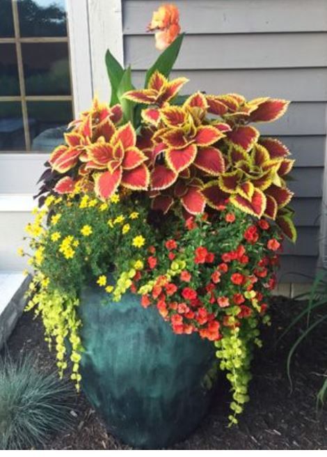 Patio Planter Ideas Plant Pots, Huge Planters, Patio Flower Pots, Potted Plants Patio, Front Porch Flowers, Patio Flowers, Porch Flowers, Container Garden Design, Potted Plants Outdoor