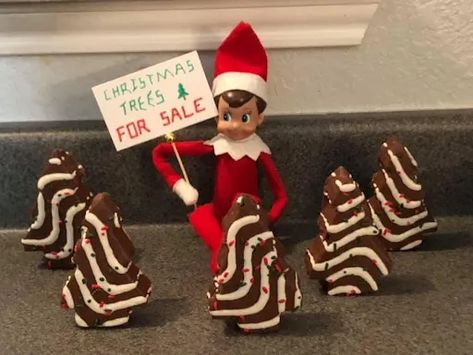 Toddler Elf On The Shelf, Elf On The Shelf Pet Ideas, Easy Elf On The Shelf, Elf Tree, Chirstmas Decor, Easy Elf, Awesome Elf On The Shelf Ideas, Christmas Tree Sale, Elf Activities