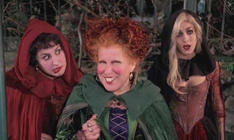 The 'Hocus Pocus' Sanderson Sisters Are ... Halloween America, Hermanas Sanderson, Hocus Pocus 1993, Hocus Pocus Movie, Kathy Najimy, Sarah Sanderson, Beaches Film, Sanderson Sisters Hocus Pocus, Bette Midler