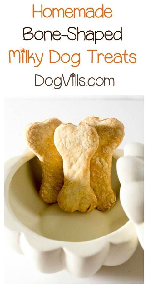 Looking for a fun homemade Halloween dog treat recipe similar to the milk bones that you buy in the store? Our bone-shaped treat is perfect for any time! Dog Euthanasia, Milk Bone Dog Treats, Halloween Dog Treats, Dog Treats Homemade Recipes, Bone Dog, Food Dog, Puppy Treats, Healthy Dog Treat Recipes, Dog Biscuits