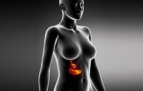 5 Things Every Woman Should Know About Her Pancreas  http://www.womenshealthmag.com/health/pancreas-facts?utm_source=facebook.com Pancreas Health, Health Articles, Do You Really, Women's Health, Digestive System, 5 Things, Blood Sugar, Chronic Pain, Womens Health