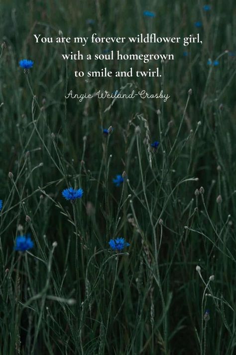 Be A Wildflower, Wildflower Quotes Wild Women, Daughters Are Like Flowers Quotes, Wildflower Poem, Angie Weiland-crosby Quotes, Wildflower Quotes Inspiration, Wild Flowers Quotes, Quotes About Wildflowers, Wildflower Quotes Short