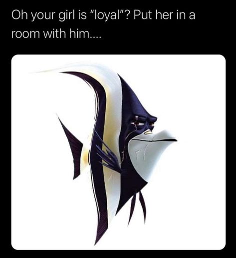 Finding Nemo Meme, Gill Finding Nemo, The Memes, Finding Nemo, Your Girl, Stuff To Make, Random Memes, Over It, Get Over It