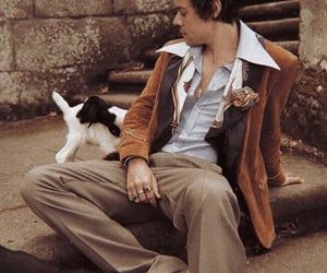 Grammy Outfits, Harry Styles Icons, Harry Brown, Collage Des Photos, Boy Vintage, Harry Styles Aesthetic, Cream Aesthetic, Harry Styles Pictures, Harry Styles Photos