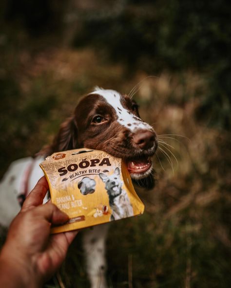 Dog Product Photoshoot, Dog Treats Photography, Dog Treat Photography, Dog Food Photography, Sustainability Photography, Dogs Treats, Dog Marketing, Peanut Butter For Dogs, Dog Treats Grain Free