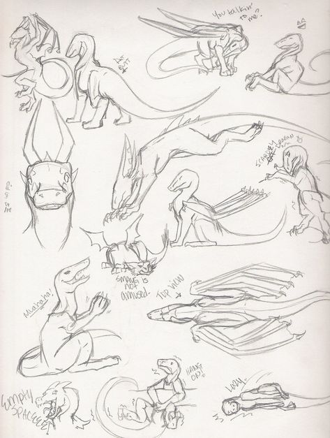 Dragon Poses Reference Drawings, Wof Dragon, Dragon Sketches, Dragon Poses, Dragon Anatomy, Drawing Bases, Dragon Sketch, Tutorials Drawing, Creature Drawings