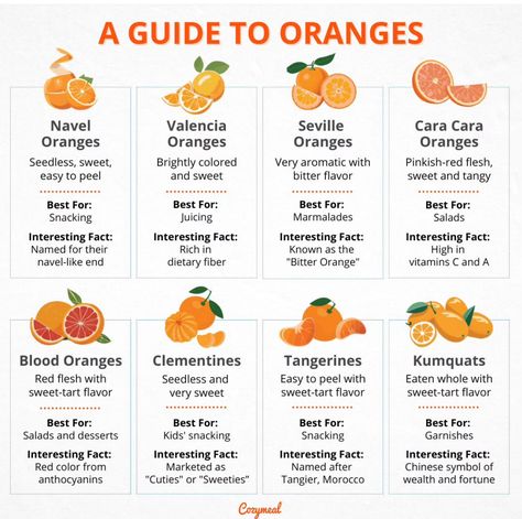 Orange Foods, Types Of Oranges, Bitter Orange, Orange Fruit, Sweet Tarts, Dietary Fiber, Blood Orange, Food Guide, Cooking Tips