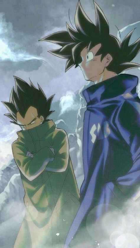 Z Pictures, Image Joker, Dragonball Evolution, Vegeta Manga, Vegeta Anime, Vegeta Goku, Dragon Ball Z Iphone Wallpaper, Dragon Ball Z Anime, Pictures To Color