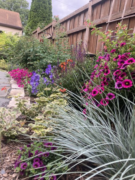 Platycodon Grandiflorus, Minnesota Garden, Perennial Garden Design, Fine Gardening Magazine, Fall Bulbs, Perennial Border, Yellow Daffodils, Fine Gardening, Garden Photography