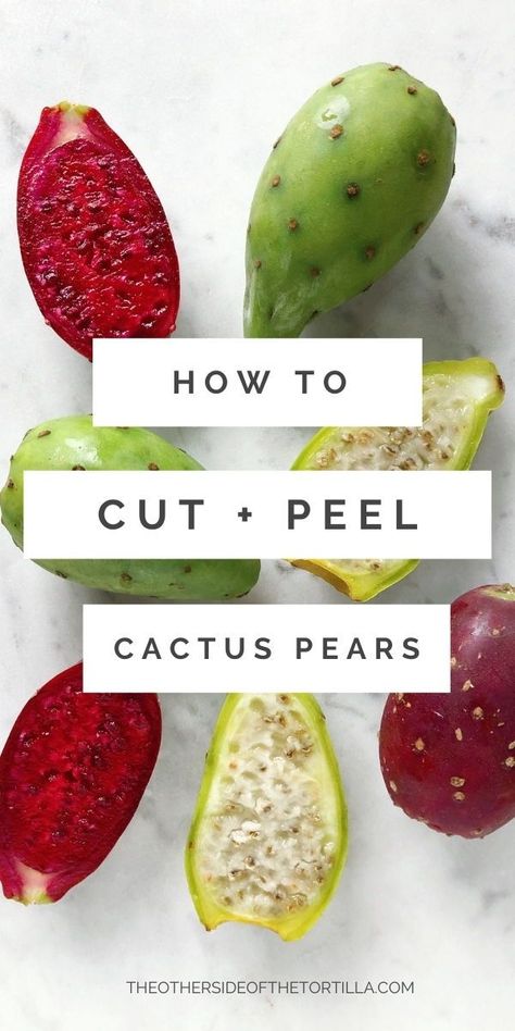 Prickly Pear Cactus Pad Recipes, Cactus Paddle Recipe, Spineless Prickly Pear Cactus, Growing Prickly Pear Cactus, Prickly Pear Cactus Jelly, Prickly Pear Fruit Recipes, Cactus Pear Recipe, Prickly Pear Ice Cream, Cactus Fruit Recipe