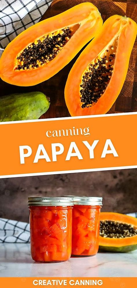 Explore the art of canning papaya, an essential skill in canning fruit recipes. Water bath canning papaya captures the tropical flavors in your kitchen, making it a delightful addition to homemade fruit cocktails or enjoyed on its own. This method is perfect for preserving the fresh taste of papaya, offering a tasty treat anytime. Learn more about canning recipes for beginners, home canning recipes, and canning food preservation at creativecanning.com Canning Papaya, Frozen Papaya Recipes, Dried Papaya Recipe, Raw Papaya Recipes, Pickled Papaya, Canning Fruit Recipes, Pressure Canning Meat, Papaya Recipes, Water Bath Canning Recipes