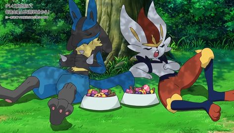 Lucario and Cinderace Lucario And Cinderace, Latios Pokemon, Pokemon Journeys, Pokemon Design, Pokemon W, Lucario Pokemon, Pokemon Game Characters, Pokemon Champions, Pokemon Regions