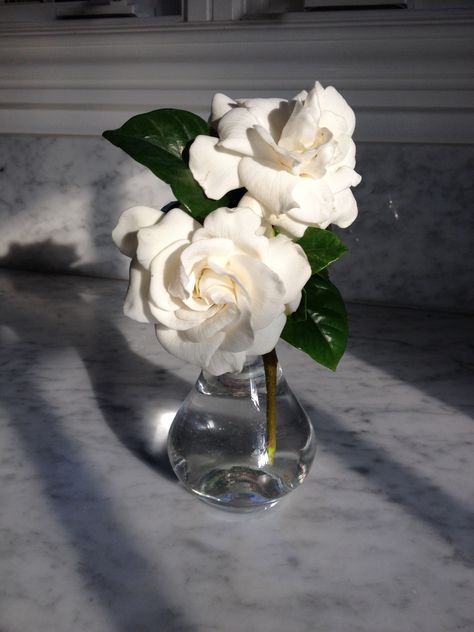 Gardenia Centerpiece Wedding, Gardenia Wedding Centerpieces, Gardenia Flower Bouquet, Gardenia Arrangement, Gardenia Centerpiece, Gardenia Aesthetic, Gardenias Bouquet, Gardenia Bouquet, Gardenia Wedding