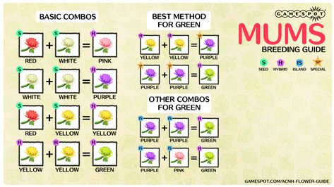 Animal Crossing: New Horizons Hybrid Flowers Guide - How To Breed Flowers - GameSpot Flowers In Animal Crossing, Hybrid Flowers, Flowers Guide, Animal Crossing Amiibo Cards, Purple Mums, Ac New Leaf, Animal Crossing Guide, Mums Flowers, How To Make Greens