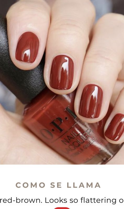 Spice Colored Nails, Clay Colored Nails, Rust Colour Nails, Red Brown Nail Color, Fall Nexgen Nail Colors, Rust Red Nails, Copper Colored Nails, Rust Nail Color, Burnt Red Nails