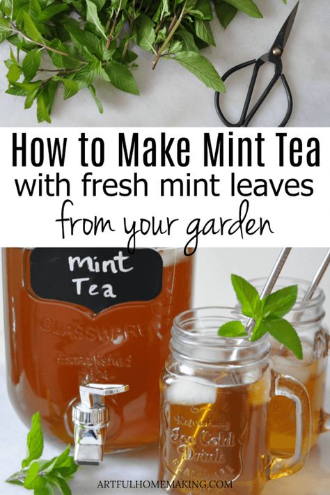 Healthy Summer Drink Recipes, Mint Recipes Fresh, Mint Tea Recipe, Healthy Summer Drinks, Fresh Mint Tea, Julep Recipe, Spearmint Tea, Homemade Tea, Herbal Teas Recipes