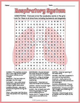 Human Respiratory System Word Search Worksheet by Puzzles to Print | Teachers Pay Teachers Respiratory Care Week Games, Physiology Of Respiratory System, Model On Respiratory System, Respiratory System Worksheet, Respiratory Care Week, Respiratory System Infographic, Medical Terminology Games, Respiratory System Anatomy, Separating Mixtures