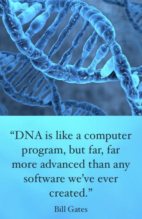 Microsoft’s cofounder Bill Gates stated, “DNA is like a computer program, but far, far more advanced than any software we’ve ever created.” Since Gates hires programmers to design his software, doesn’t it make sense that the “software” in a cell — which is far more advanced than any man-made software — had a designer also?   Actsof2020vision.com Intelligent Design God, Dna Quotes, 5 Solas, Creation Science, Natural Philosophy, Science Quotes, Human Dna, Soli Deo Gloria, Outdoor Quotes