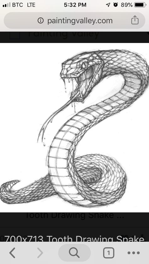 New creations in Tha making 3D snake!!! Snake Standing Up Drawing, Coiled Snake Drawing Reference, Snake Teeth Drawing, Snake Realistic Drawing, How To Draw A Snake Head, Scary Snake Drawing, Snake Side Profile, Snake Reference Drawing, Snake Face Drawing