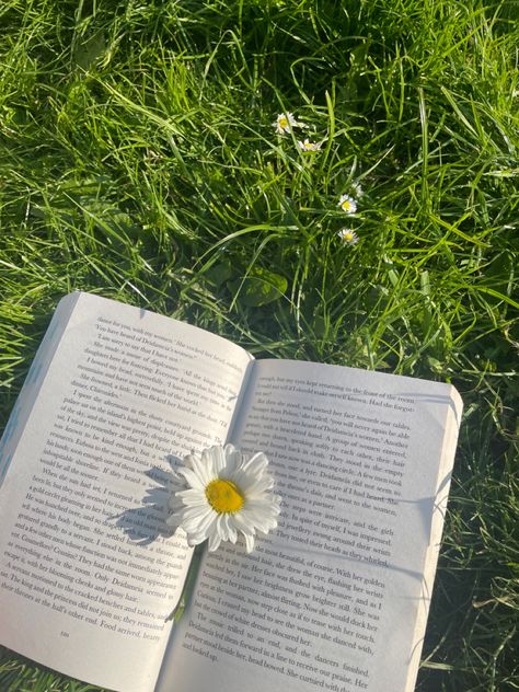 Book Sentences Aesthetic, Sentences Aesthetic, Book Sentences, Aesthetic Book Reading, Reading Pics, Grass Aesthetic, Simple English Sentences, Reading Summer, The Song Of Achilles