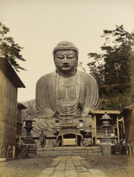 Large Buddha (Daibutsu) Japanese Buddha, Social Work Exam, Machine Photo, Japanese Decor, Park Photography, Kamakura, Buddha Image, Japan Design, Buddha Art