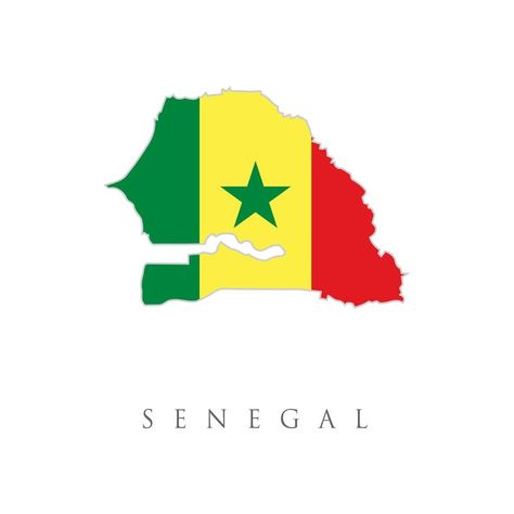 Map of Senegal on a blue background, Flag of Senegal on it. Senegal flag map background. The flag of the country in the form of borders. Stock vector illustration isolated on white background. Senegal Flag, Afrique Art, Story Insta, Map Background, Album Photos, The Flag, National Flag, Blue Background, Blue Backgrounds