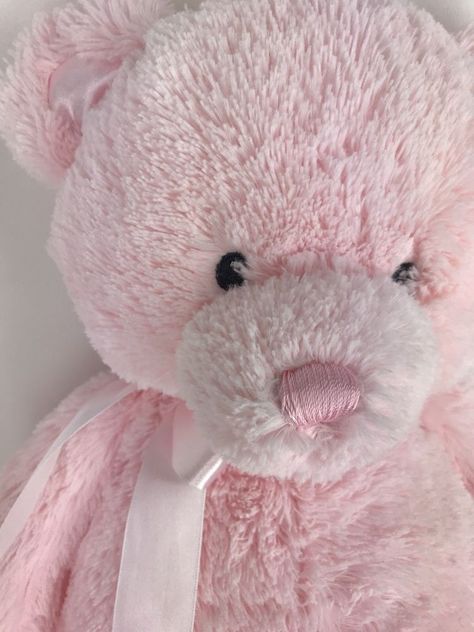 Pink Aesthetic Teddy Bear, Pink Teddy Bear Aesthetic, Pink Teddy Bear Wallpaper, Teddy Bear Pink, Pink Stuffed Animals, Teddy Pictures, Rebecca Yarros, Teddy Bears For Sale, Teddy Bear Wallpaper