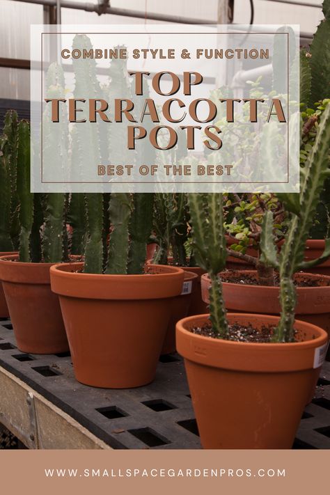 Discover the top terracotta pots for succulents that combine style and functionality for your planting needs! Our guide highlights the best options to elevate your succulent display, offering both aesthetic appeal and optimal growing conditions. Perfect for plant enthusiasts looking to enhance their indoor or outdoor garden with timeless terracotta charm. #TerracottaPots #Succulents #GardeningTips #PlantLovers #GardenDesign Pots For Succulents, Large Terracotta Pots, Succulent Display, Succulents Indoor, Small Space Gardening, Large Plants, Plant Collection, Plant Growth, Succulent Pots