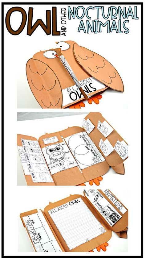 Owl Science Activities For Kids, Owl Lapbook, Nocturnal Animals Activities, Science Notebook Cover, Owl Activities, Second Grade Science, Stem Resources, Lap Book, 1st Grade Science