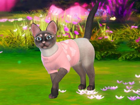 Dress up your fur babies with some pastel heart sweaters, it will match the pastel pop collection perfectly! Found in TSR Category 'Sims 4 Clothing sets' Sims 4 Maxis Match Pet Cc, Heart Sweaters, Pastel Heart, Pastel Sweater, Pop Collection, Sims 1, Cute Pastel, Heart Sweater, Sims 4 Clothing