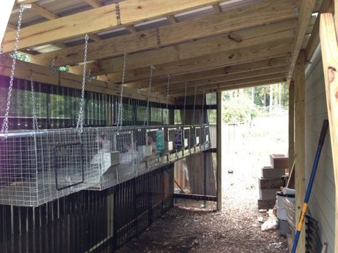 Rabbit hutches Wire Rabbit Cages, Rabbit Hutch Plans, Rabbit Shed, Rabbit Wire, Raising Rabbits For Meat, Diy Rabbit Hutch, Show Rabbits, Rabbit Pen, Outdoor Rabbit Hutch