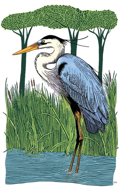 Holy Heron! - VirginiaLiving.com Heron Illustration, Heron Tattoo, Heron Art, Petit Tattoo, Great Blue Heron, Blue Heron, Art And Illustration, Lino Print, Linocut Prints