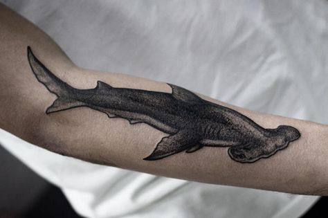 American Traditional Hammerhead, Hammer Shark Tattoo, Hammer Head Shark Tattoos, Hammer Shark, Stomach Tattoos Women, Shark Tattoo, Hammer Head, Shark Tattoos, Creepy Tattoos