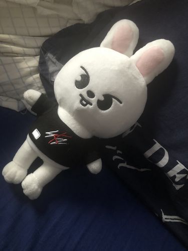 "Leebit is rlly cute and it arrived pretty fast" - Chahinda H. Leebit Plush, Leebit Core, Skzoo Plushies, Skzoo Plush, Stray Kids Minho, Lee Know Stray Kids, Artist Models, Lee Know, Pre Order