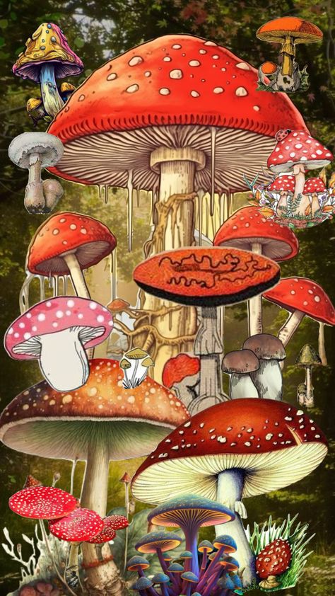 #mushrooms #mushroom #wallpaper #mushroomcore #wallpaper Mushroomcore Wallpaper, Mushroom Core, Mythical Beasts, Mushroom Wallpaper, Mythical Beast, Create Yourself, Stuffed Mushrooms, Forest, Quick Saves