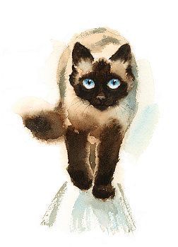 Cats Watercolor, Cat Ideas, Watercolor Cat, Cats Illustration, Cat Painting, Siamese Cats, Watercolor Animals, Cat Tattoo, Cat Drawing