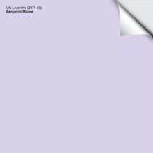 Benjamin Moore Lily Lavender, Light Lavender Paint Color, Light Lavender Paint, Lavender Paint Colors, Lavender Paint, French Lilac, Paint Sample, Big Girl Rooms, Paint Samples