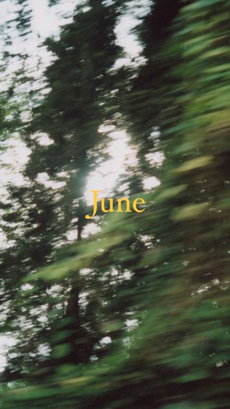 June Dump Instagram, June Wallpaper Aesthetic, June Vibes, June Moodboard, Photodump Aesthetic, June Aesthetic, June Wallpaper, June Dump, August Dump