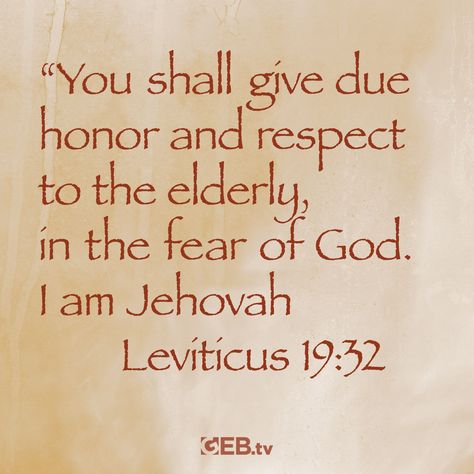 Honor and learn from the wisdom of the elderly. “You shall give due honor and respect to the elderly, in the fear of God. I am Jehovah." Leviticus 19:32 #wisdom #LiveWell #VerseOfTheDay #HelpingYouLiveWell Leviticus Bible Verses, Leviticus 19, Old Testament Bible, The Fear Of God, Father God, Bible Study Verses, Jesus Bible, Prayer Verses, Old Testament